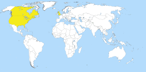 Affirmative Consent Global Map